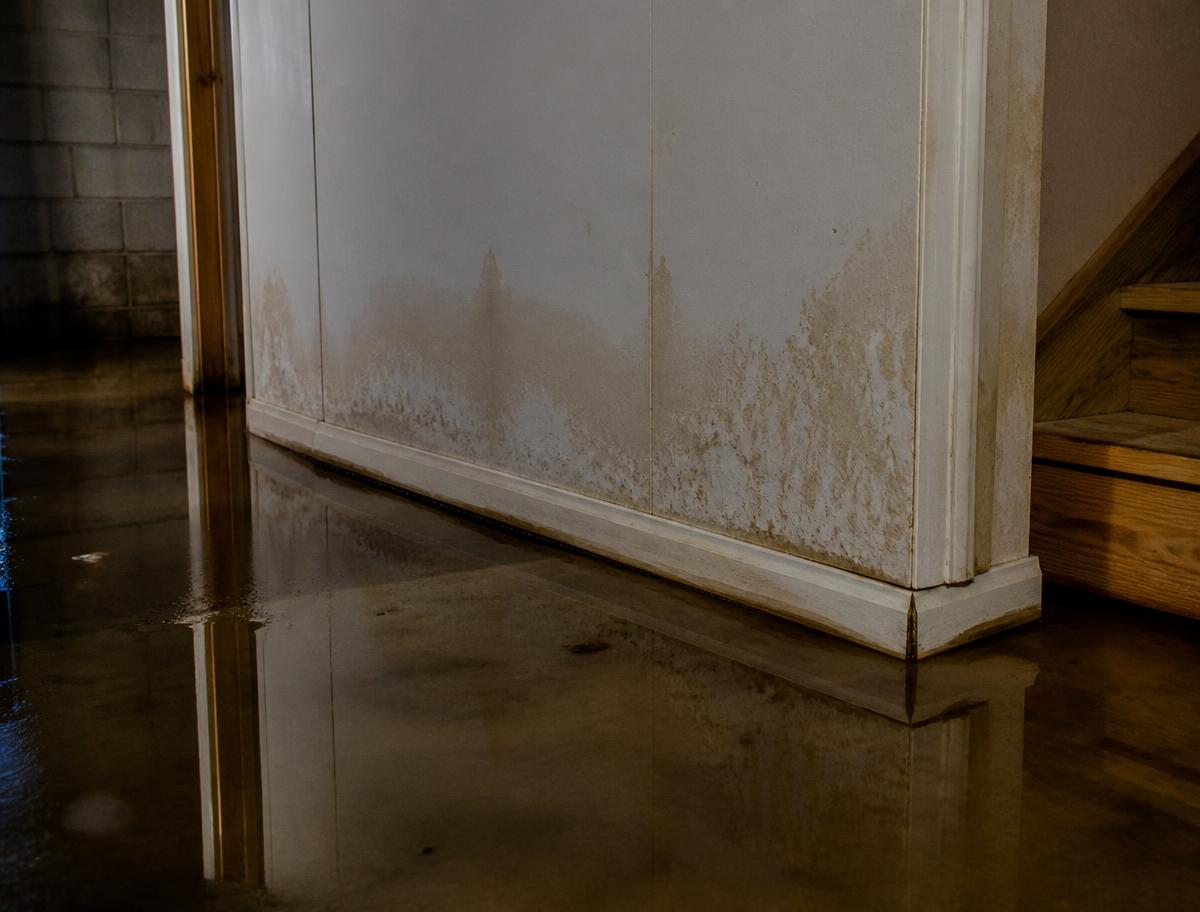 Standing water and water-stained drywall in a flooded basement
